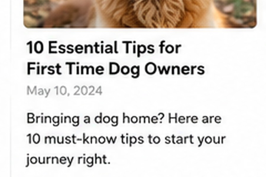 New Puppy Essentials: Building a Strong First Routine
